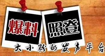 白银新闻爆料,最新爆料揭示行业动态 第3张 白银新闻爆料,最新爆料揭示行业动态 第3张